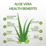 Aloe Vera and Its Healthy Benefits