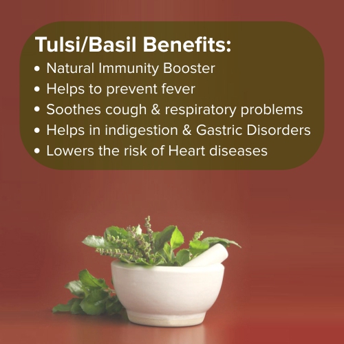Benefits of Tulsi for Skin