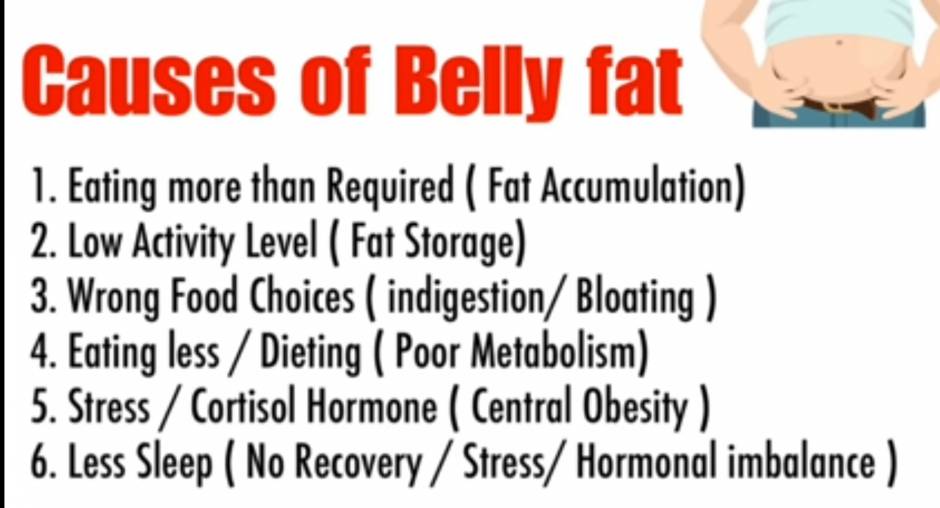 Causes of Belly Fat