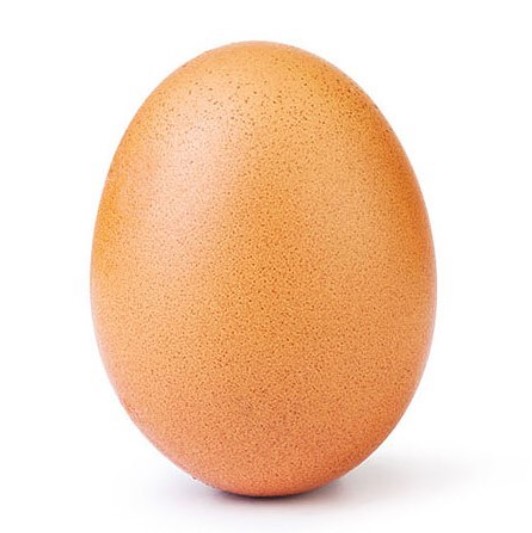 Egg