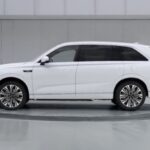 Hybrid 1
