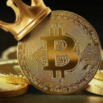 Bitcoin continues to rise. The main cryptocurrency of the world crept up to the mark of $ 24,000 for 1 BTC Bitcoin