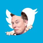Twitter staff cut by 80% after Elon Musk took over Twitter