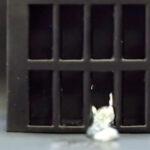 Scientists have created a liquid metal robot that, like the T-1000 Terminator liquid metal robot