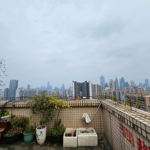 At 30x zoom, photo quality from the Samsung Galaxy S23 Ultra remains very high Galaxy S23 Ultra