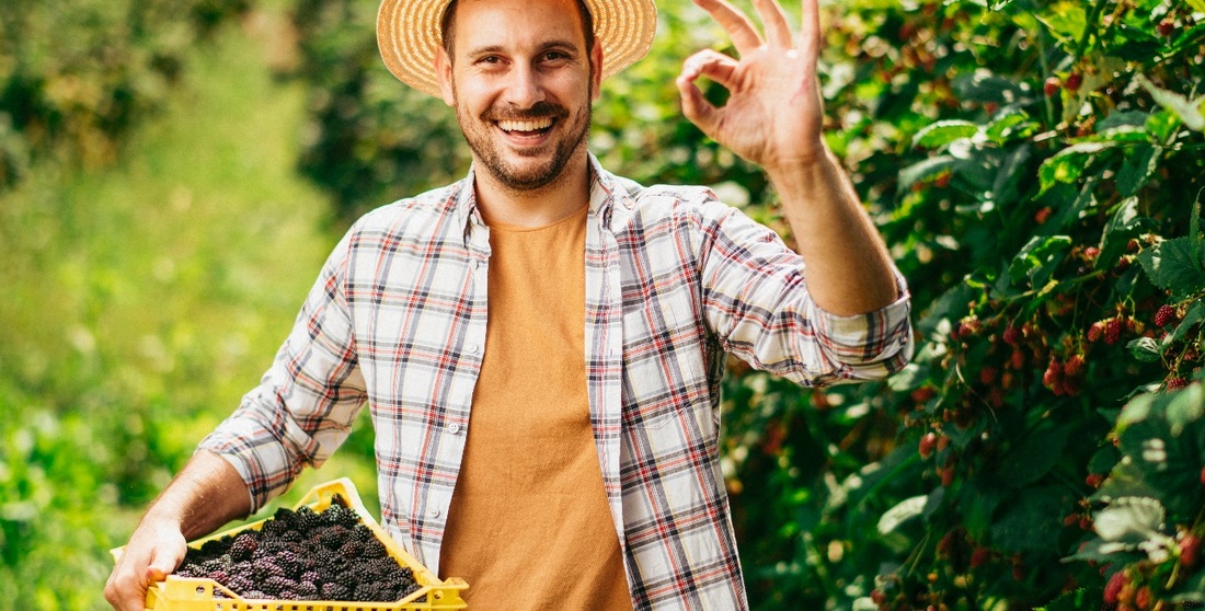 Health Benefits Of Blackberry Along With Some Recipes