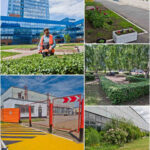 Household work at AvtoVAZ may return. AvtoVAZ