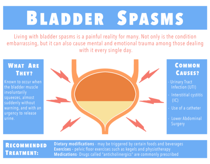 Understanding Bladder Spasms Causes, Symptoms, and Treatment Options