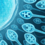 Understanding the Role of Reproductive Endocrinologists in Fertility Treatment