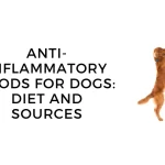 Understanding Anti-Inflammatory Options for Dogs anti inflammatory for dogs
