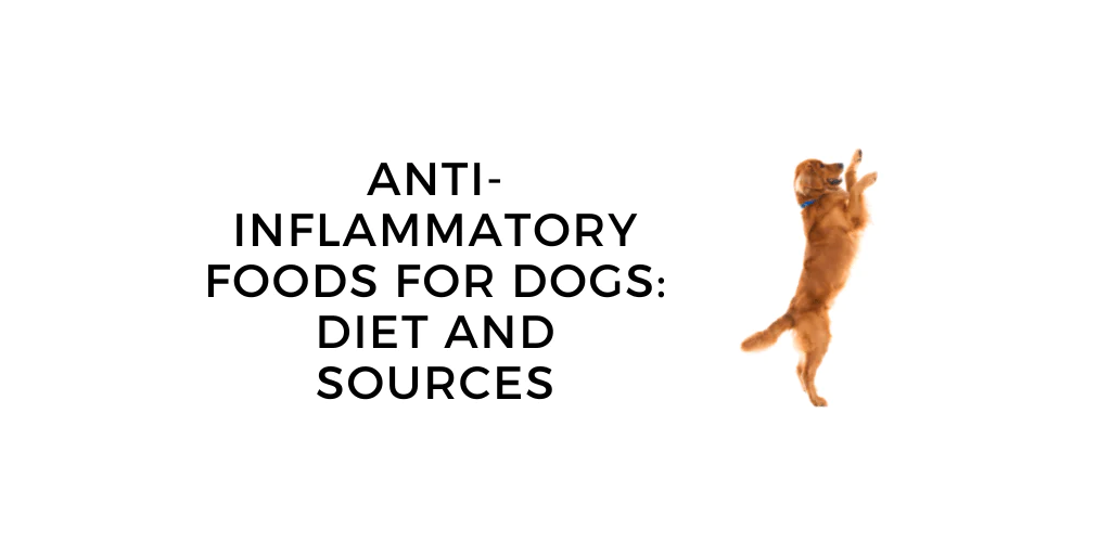 Understanding AntiInflammatory Options for Dogs