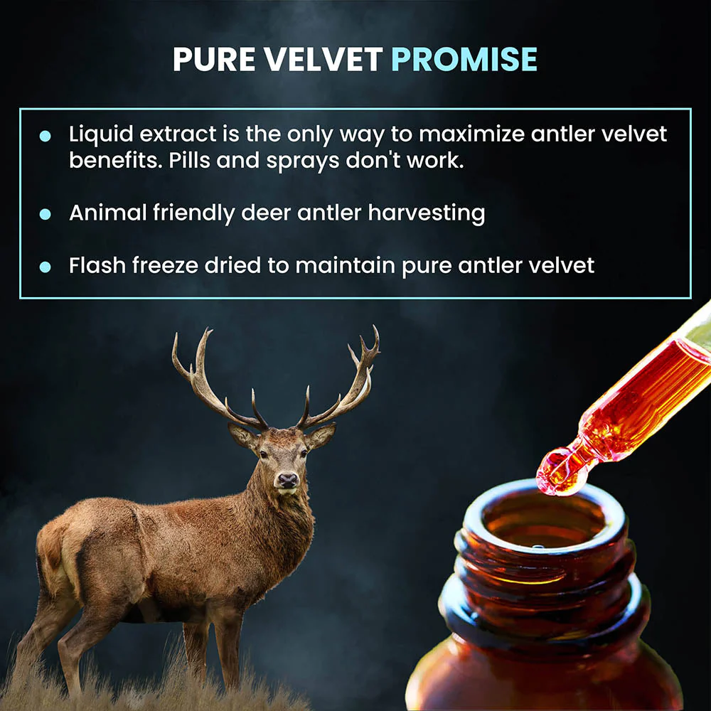 Deer Antler Velvet Benefits.webp