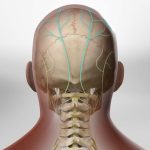 occipitalnerveblock_1280