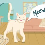 Decoding Feline Communication: Why Does My Cat Meow So Much