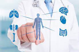 Internist Doctor