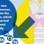 NP Thyroid: Understanding Its Benefits and Uses NP Thyroid