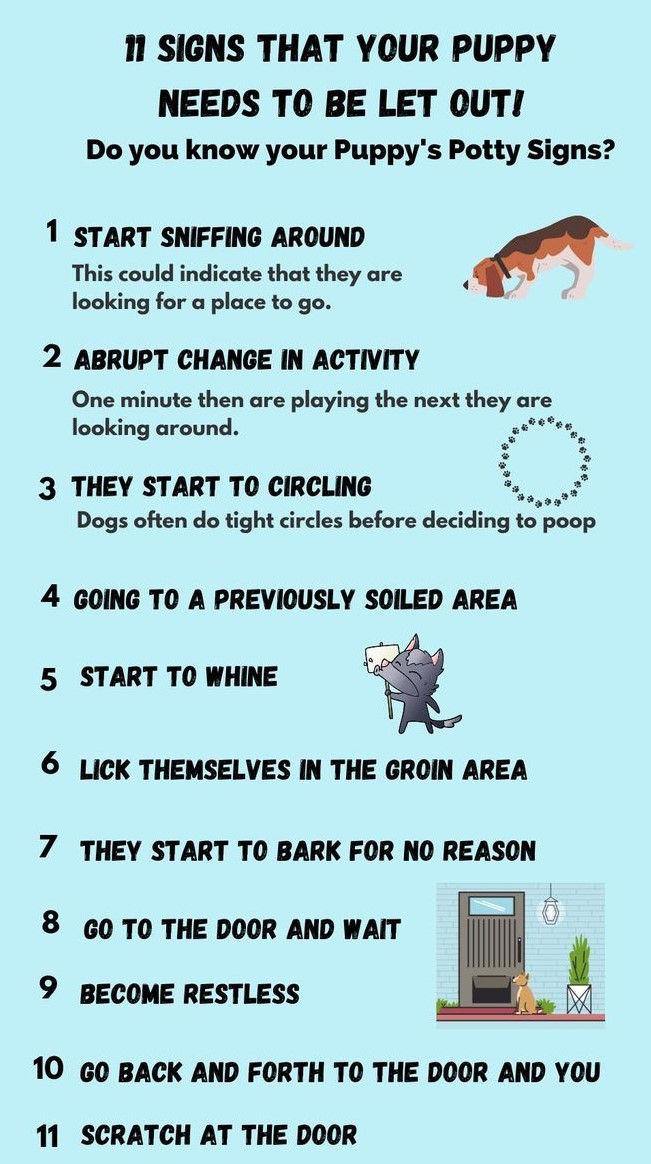 Puppy Potty Training