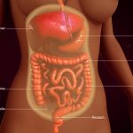 Understanding Peritoneal Carcinomatosis: Causes, Symptoms, and Treatment Options