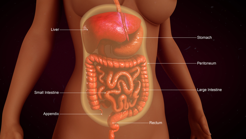 Understanding Peritoneal Carcinomatosis: Causes, Symptoms, and Treatment Options