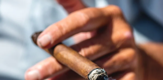 Are cigars bad for you