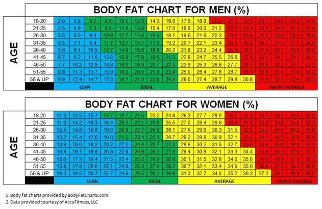 Body Fat Percentage Chart: Your Guide to Achieving a Healthier You