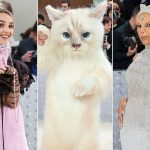 Fashion World, And Americans, Have Gone Cat Crazy Cats Take Over the Met Gala
