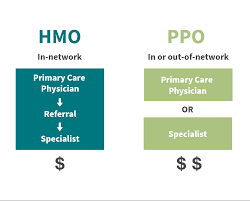 HMO vs. PPO: Understanding the Difference - Phonemantra