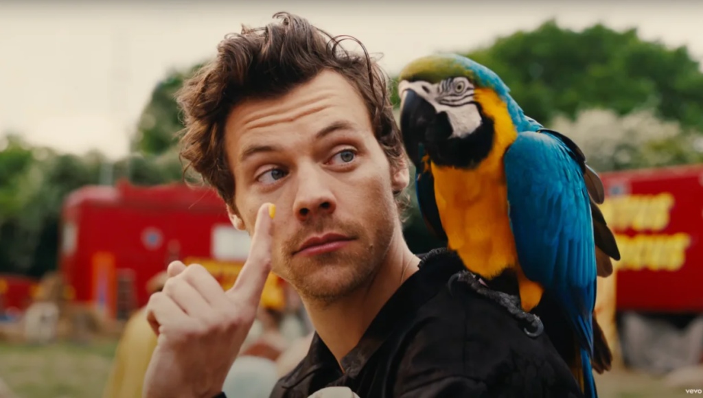 Harry Styles in his new 'Daylight' music video