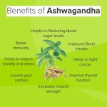 When to Take Ashwagandha and Ashwagandha Health Benefits Health benefits of ashwagandha