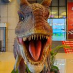 Live (not promotional) photos taken by Nubia Z50S Pro Nubia Z50S Pro