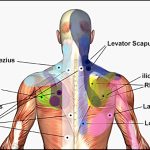 Relieving Pain with Trigger Point Injections: A Comprehensive Guide Trigger Point Injections