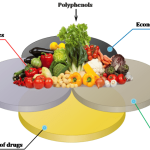 Top Foods Highest in Polyphenols (And why you need them in your diet) benefits of polyphenols