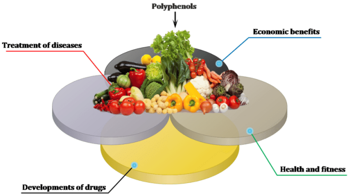 Top Foods Highest in Polyphenols (And why you need them in your diet