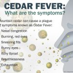 Cedar Fever Symptoms: Recognizing and Relieving the Seasonal Allergy Woes cedar fever symptoms