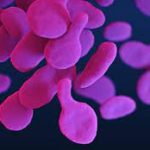 Unraveling the Enigma: Mycoplasma Genitalium mycoplasma genitalium