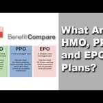 PPO vs. HMO: Understanding the Differences in Health Insurance Plans ppo vs hmo