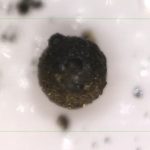 Humanity acquired the first substance from outside the solar system? solar system