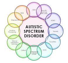 types of autism