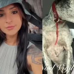 3 Hunters Perish Saving Trapped Dog 3 hunters are dead after trying to rescue a dog trapped in a hole in the ground