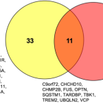 Decoding ALS Genetic: Role of Genetics in Amyotrophic Lateral Sclerosis ALS Genetic