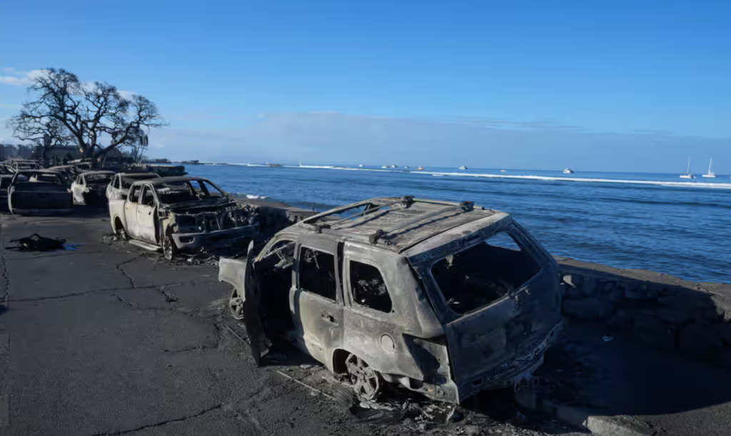 Burnt-out cars line the sea wall after the wildfire on Friday in Lahaina