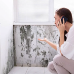 Can I Refuse to Pay Rent If There is Mold? Understanding Tenant Rights Can I Refuse to Pay Rent If There is Mold