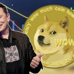Elon Musk will never launch X/Twitter cryptocurrency Elon Musk