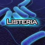 Listeria bacteria Outbreak: Contaminated Ice Cream Machines Linked to Three Deaths Listeria bacteria