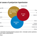 Postpartum Preeclampsia: Symptoms, Risks, and Recovery Postpartum Preeclampsia