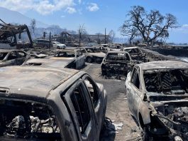 Tragedy Strikes Maui