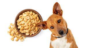 can dogs have peanuts