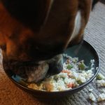 Can Dogs Have Rice? Exploring the Benefits and Risks of Feeding Rice to Your Furry Friend can dogs have rice