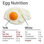 Carbs in Eggs: Separating Fact from Fiction for a Healthy Diet carbs in eggs