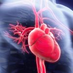 The Key Role of Cardiac Output in Heart Health and Circulation cardiac output